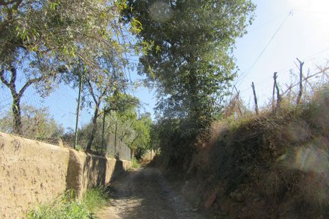 Landsbyhus i Cadiar, Granada, Cadiar - € 55.000 | Ref: C0549a - foto 25